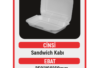 Sandwich Container